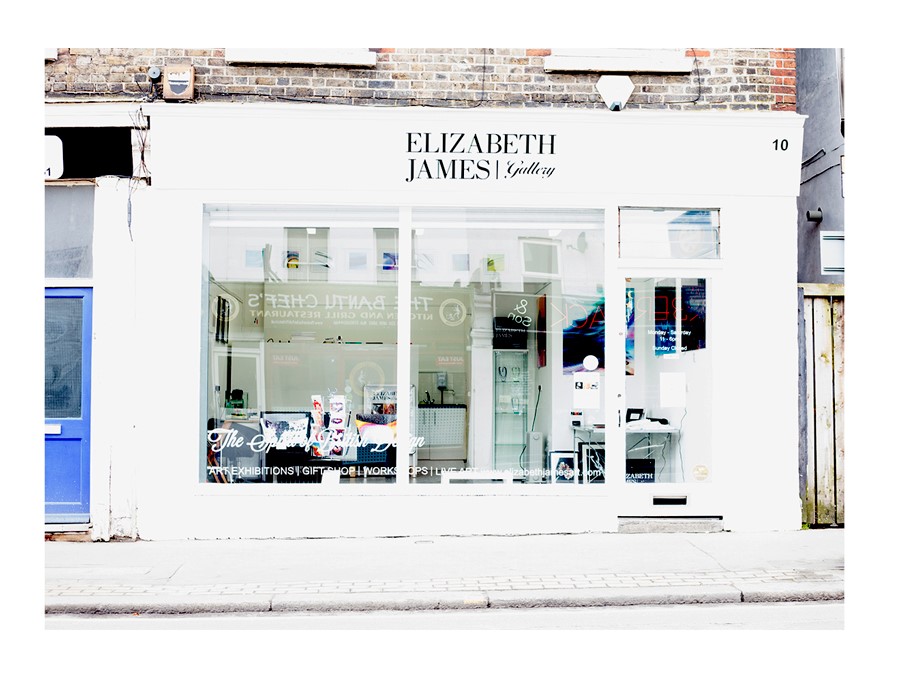 Elizabeth James Art Ltd