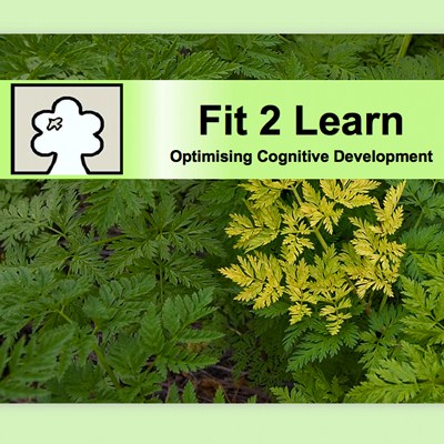 Fit 2 Learn CIC