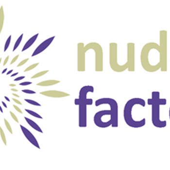 Nudge Factory