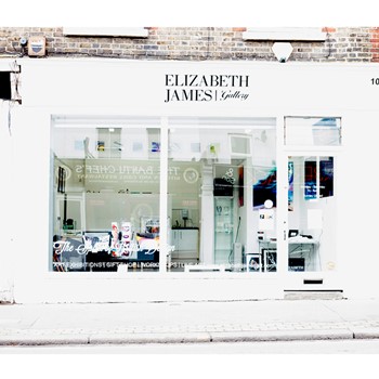 Elizabeth James Art Ltd