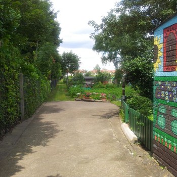 Allotment Party on the Plot
