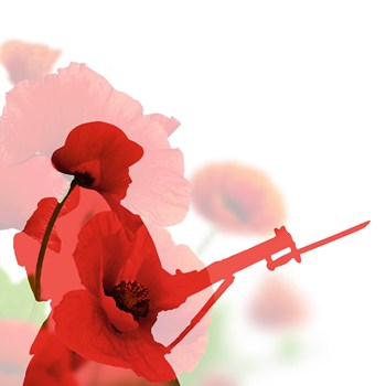 For an Unknown Soldier: A WW1 Commemoration