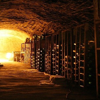 The Wine Cellar