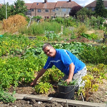 Allotment Party on the Plot